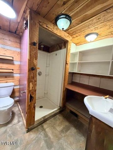 335 Bear Cage Road, Roan Mountain, TN 37687