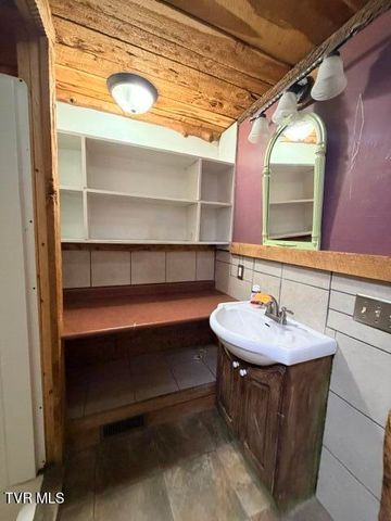 335 Bear Cage Road, Roan Mountain, TN 37687