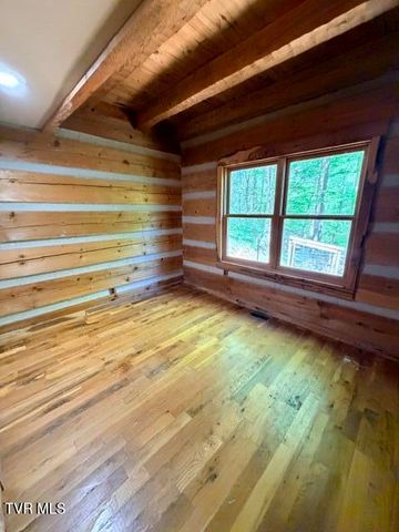 335 Bear Cage Road, Roan Mountain, TN 37687