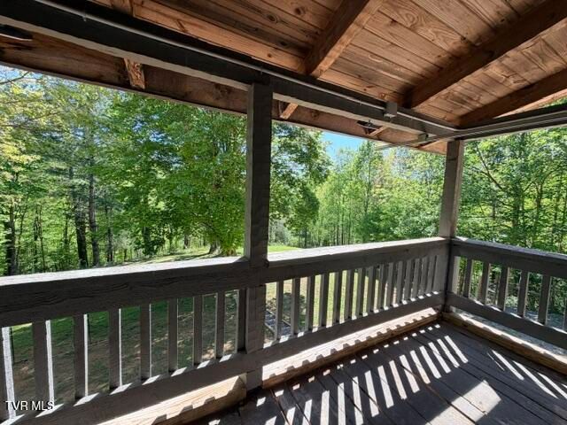 335 Bear Cage Road, Roan Mountain, TN 37687