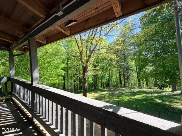 335 Bear Cage Road, Roan Mountain, TN 37687