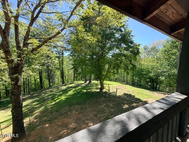 335 Bear Cage Road, Roan Mountain, TN 37687