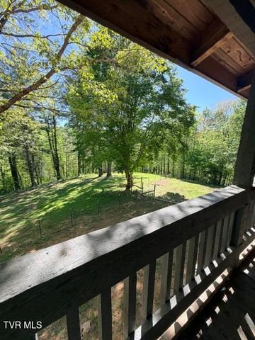 335 Bear Cage Road, Roan Mountain, TN 37687