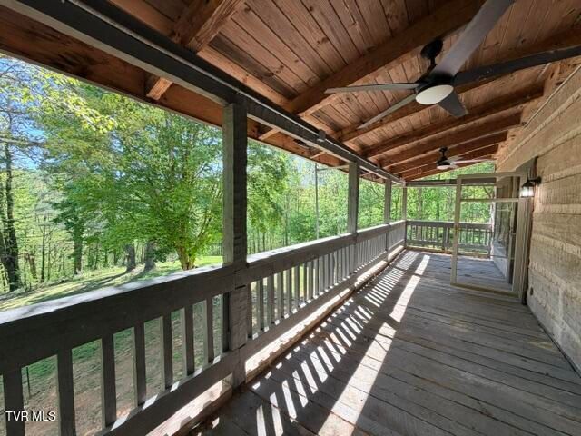 335 Bear Cage Road, Roan Mountain, TN 37687