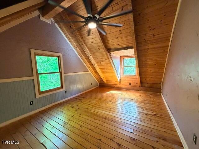 335 Bear Cage Road, Roan Mountain, TN 37687