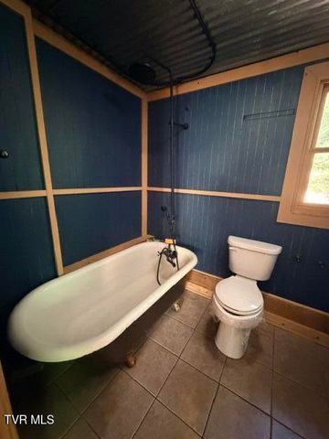 335 Bear Cage Road, Roan Mountain, TN 37687