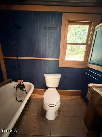 335 Bear Cage Road, Roan Mountain, TN 37687