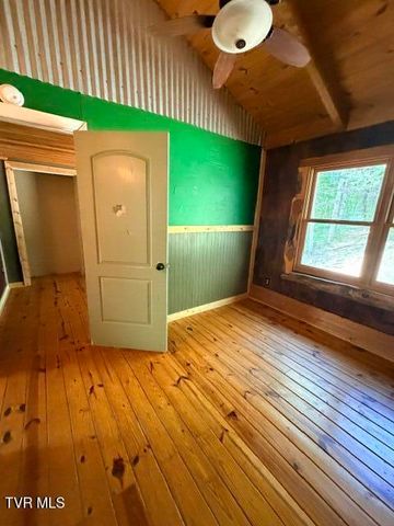 335 Bear Cage Road, Roan Mountain, TN 37687