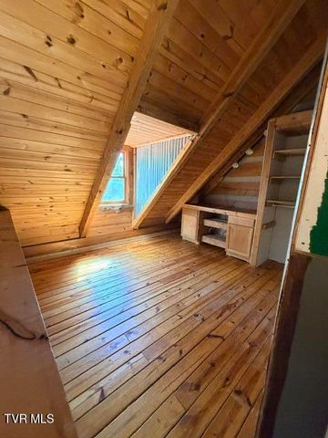 335 Bear Cage Road, Roan Mountain, TN 37687