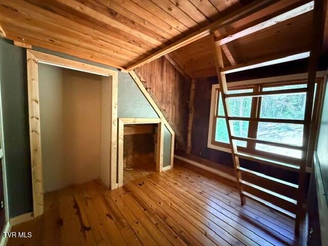 335 Bear Cage Road, Roan Mountain, TN 37687