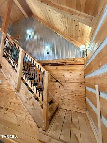 335 Bear Cage Road, Roan Mountain, TN 37687