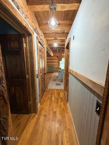 335 Bear Cage Road, Roan Mountain, TN 37687