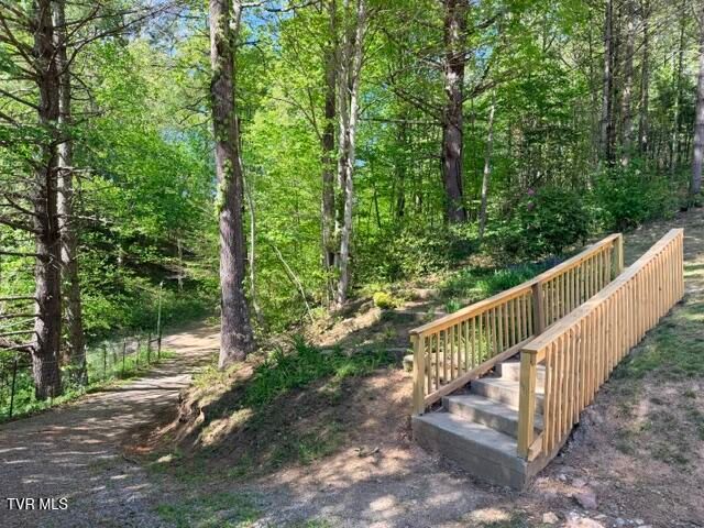 335 Bear Cage Road, Roan Mountain, TN 37687