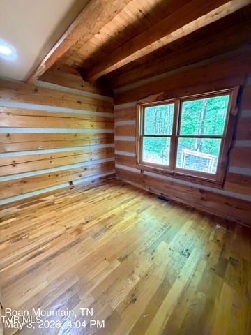 335 Bear Cage Road, Roan Mountain, TN 37687
