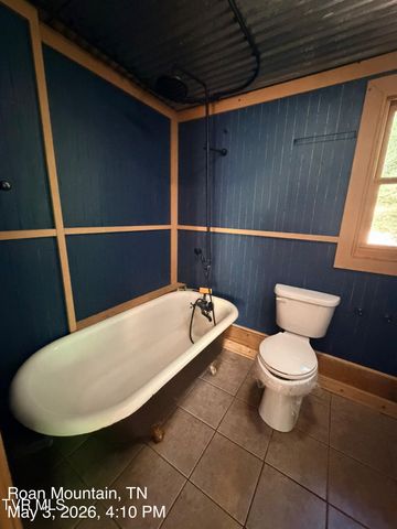 335 Bear Cage Road, Roan Mountain, TN 37687