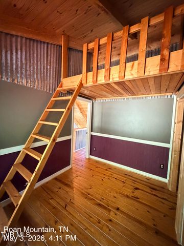 335 Bear Cage Road, Roan Mountain, TN 37687