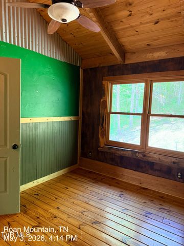 335 Bear Cage Road, Roan Mountain, TN 37687