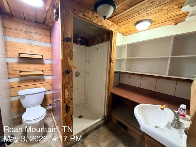 335 Bear Cage Road, Roan Mountain, TN 37687