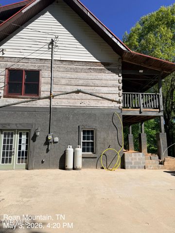 335 Bear Cage Road, Roan Mountain, TN 37687