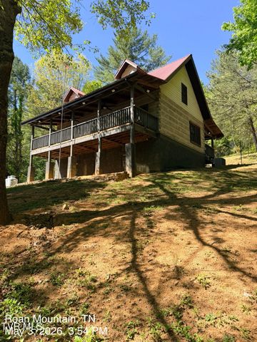 335 Bear Cage Road, Roan Mountain, TN 37687