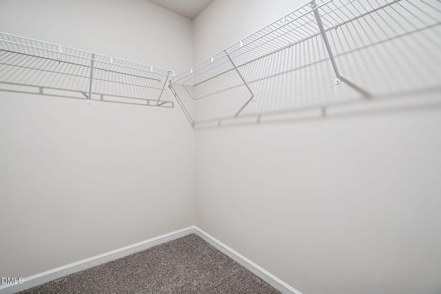 3205 Collaborative Way, Raleigh, NC 27610