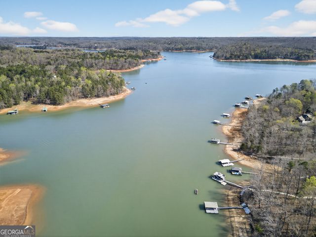 390 Lake Place Drive, Lavonia, GA 30553