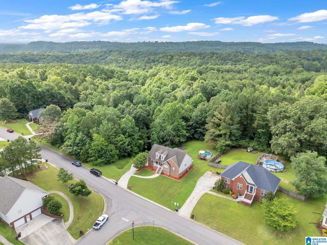 2024 RISING FAWN DRIVE, Warrior, AL 35180