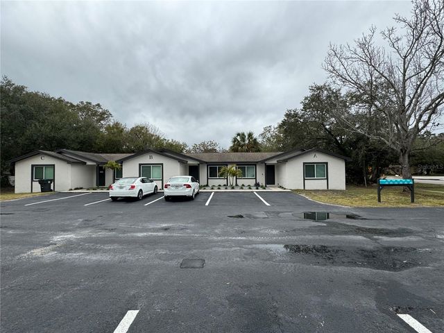 206 SAINT PETERSBURG DRIVE E, Oldsmar, FL 34677