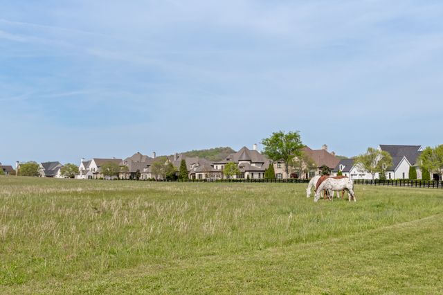 5053 Native Pony Trl, College Grove, TN 37046
