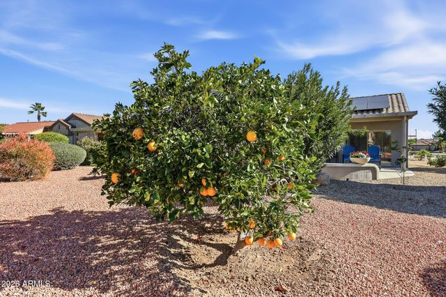 16004 W Verbena Lane, Surprise, AZ 85374