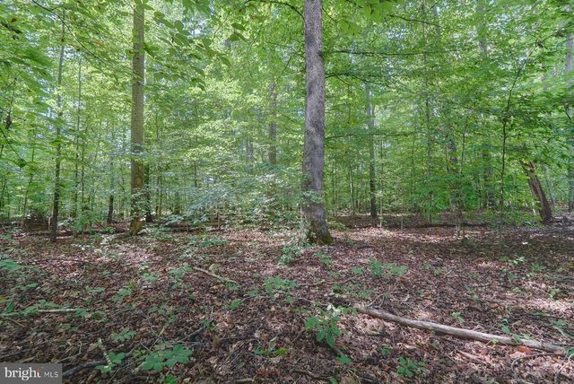 15308 DRUMMERS LN, Orange, VA 22960