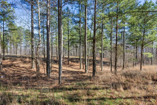 0 Prospectors Way, Jasper, TN 37347