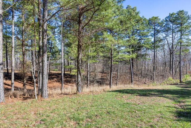 0 Prospectors Way, Jasper, TN 37347