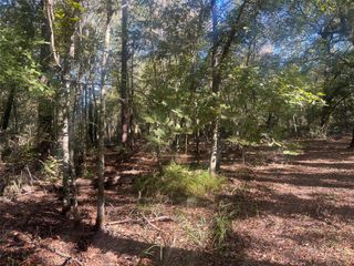 TBD Arrowhead Trail, Livingston, TX 77351