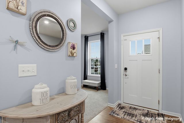 9186 Ritz Court, Huntley, IL 60142