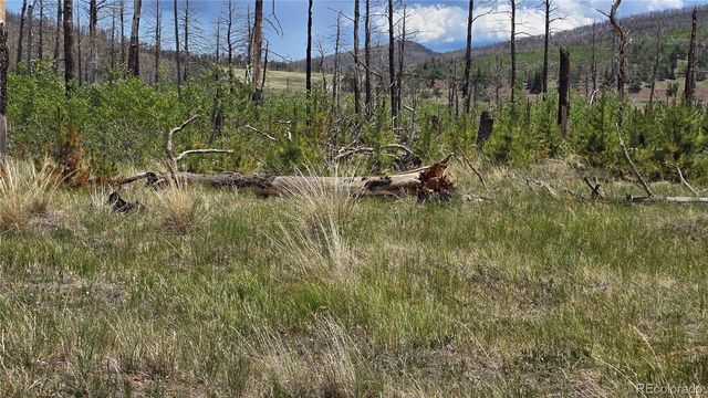 Lot 1617 Kopf Lane, Fort Garland, CO 81133
