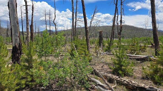 Lot 1617 Kopf Lane, Fort Garland, CO 81133