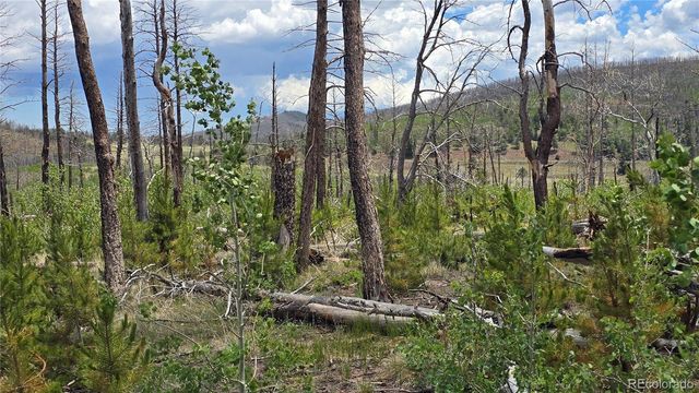 Lot 1617 Kopf Lane, Fort Garland, CO 81133