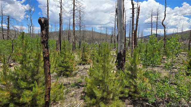 Lot 1617 Kopf Lane, Fort Garland, CO 81133