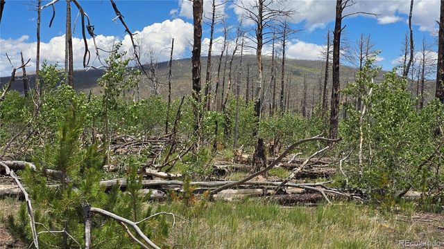 Lot 1617 Kopf Lane, Fort Garland, CO 81133
