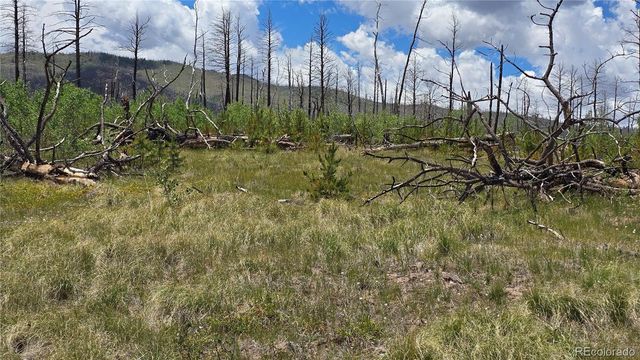 Lot 1617 Kopf Lane, Fort Garland, CO 81133