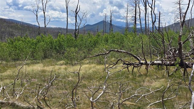 Lot 1617 Kopf Lane, Fort Garland, CO 81133