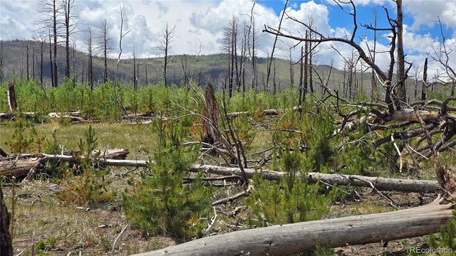 Lot 1617 Kopf Lane, Fort Garland, CO 81133
