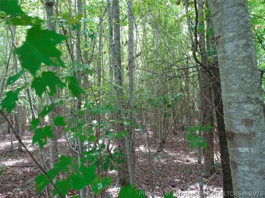 000 Giles Road, Linden, NC 28356 — photo 3
