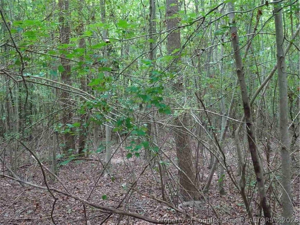 000 Giles Road, Linden, NC 28356 — photo 4