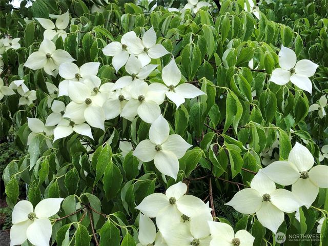 8625 Conwhit Lane SW, Port Orchard, WA 98367