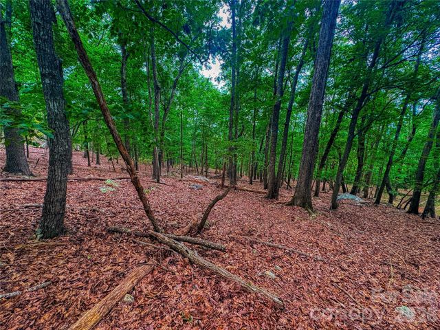 1996 Sierra Trace Road, Denton, NC 27239