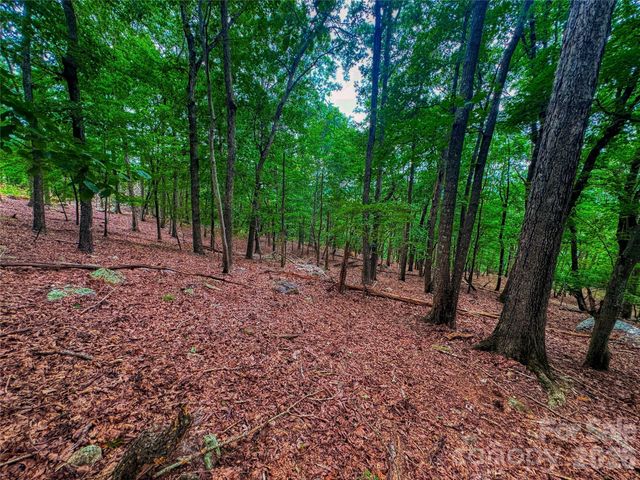1996 Sierra Trace Road, Denton, NC 27239