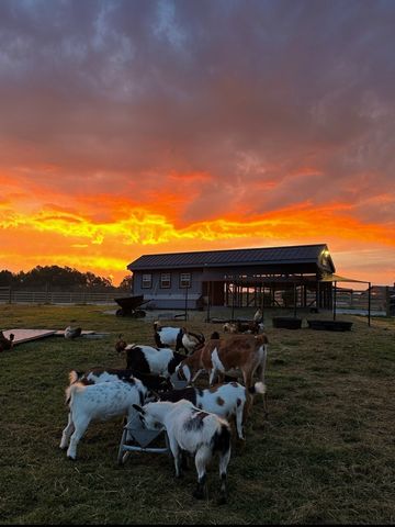 2981 Summertown Hwy, Summertown, TN 38483