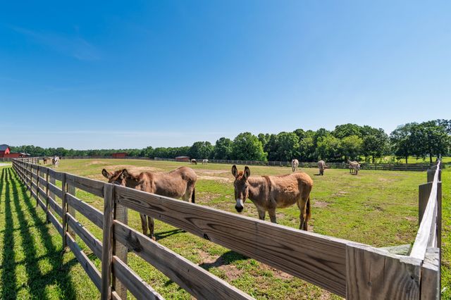 2981 Summertown Hwy, Summertown, TN 38483